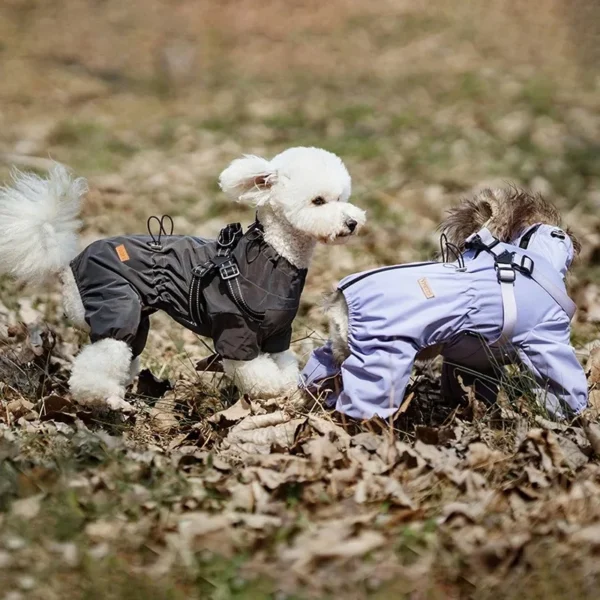 Pet Clothing Dog Accessories Luxury Clothes Sweatshirt for Dogs Supplies Big Costume Cute Hoodie Fancy Dress Goods Small Coat - Image 7