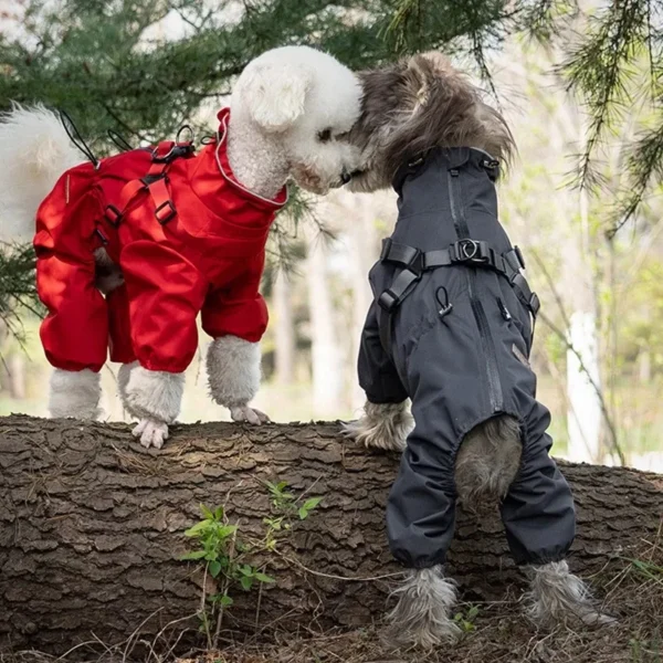 Pet Clothing Dog Accessories Luxury Clothes Sweatshirt for Dogs Supplies Big Costume Cute Hoodie Fancy Dress Goods Small Coat - Image 9