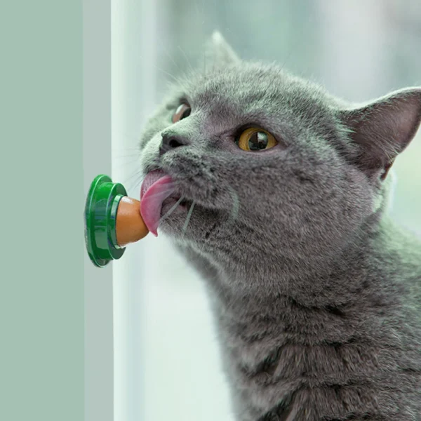 10-50PCS Cat Catnip Licking Candy Sugar Ball Wall Sucker Lick Catnip Sugar Balls Smart Cat Toys Interactive Ball Cats Mint Toy - Image 12