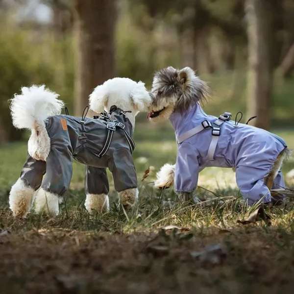 Pet Clothing Dog Accessories Luxury Clothes Sweatshirt for Dogs Supplies Big Costume Cute Hoodie Fancy Dress Goods Small Coat - Image 10