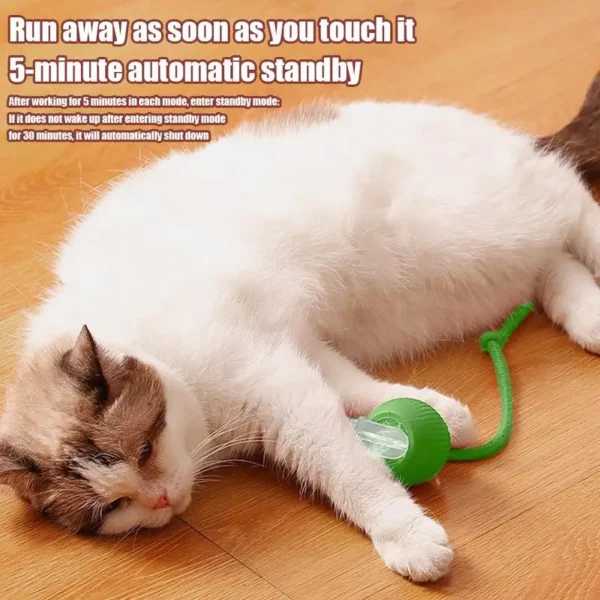 Electric Cat Ball Toys Automatic Rolling Ball Faux Tail Rechargeable Smart Pet Interactive Toy Dog Cat Training Imitate - Image 6