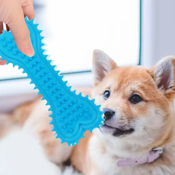 1PC Pet Chew Toy Soft Rubber Bite-resistance Bone Shape Teeth Grinding Chewing Toys for Small Dogs Training Pet Supplies - Image 3