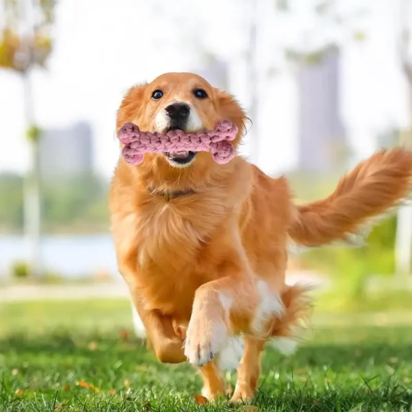 Dog Chew Toys Soft Cotton Bone Puppy Teeth Cleaning Toy 15.5cm/6.1 Inches Aggressive Chewers Dog Toy Pet Teeth Cleaning - Image 4